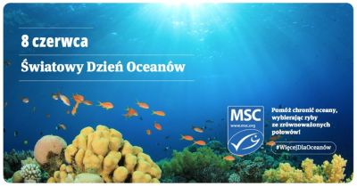Naukowcy alarmują: bioróżnorodność oceanów na granicy załamania - wciąż mamy szansę na ratunek 8 czerwca - Światowy Dzień Oceanów